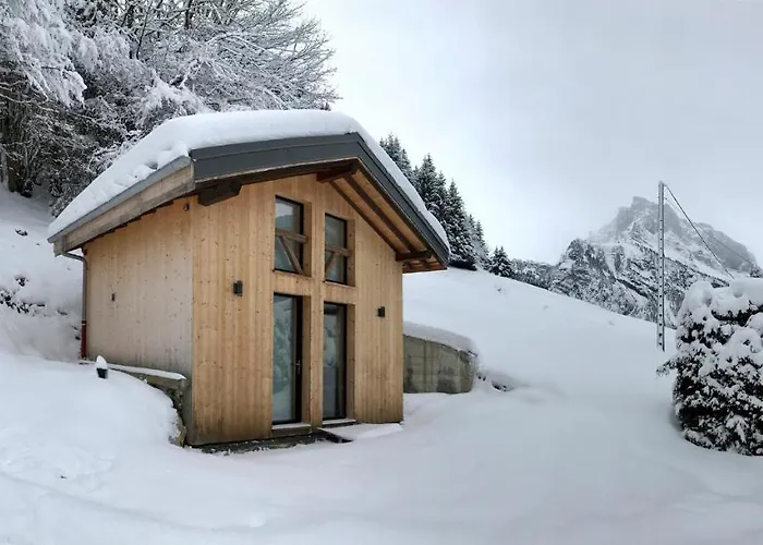 Chalet*** Au Pied D\'Une Prairie Face A La Montagne
