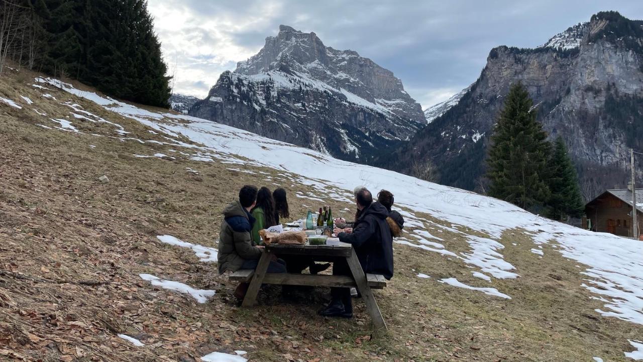 Chalet*** Au Pied D'une Prairie Face A La Montagne * Sixt-Fer-a-Cheval