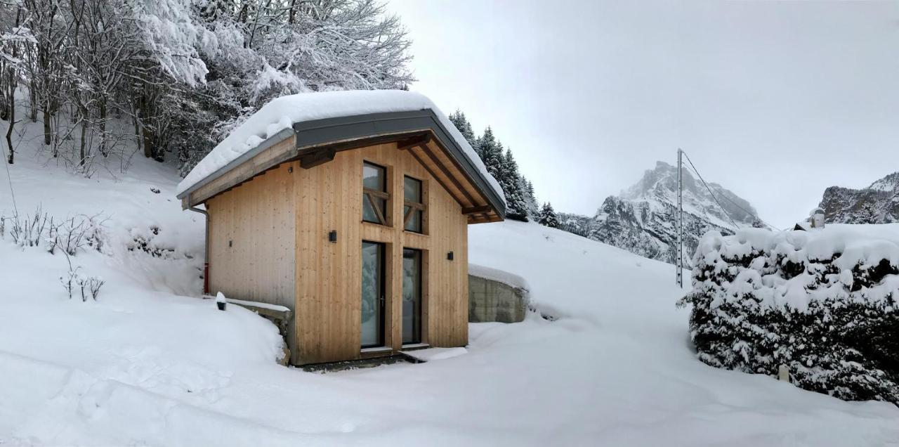 Chalet*** Au Pied D'une Prairie Face A La Montagne Chalet *