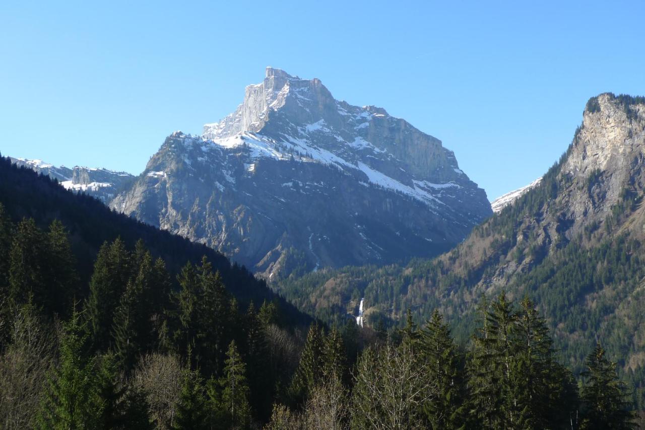 Chalet*** Au Pied D'une Prairie Face A La Montagne