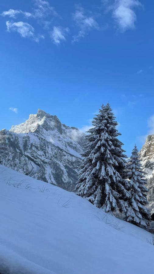 Chalet Chalet*** Au Pied D'une Prairie Face A La Montagne Sixt-Fer-a-Cheval