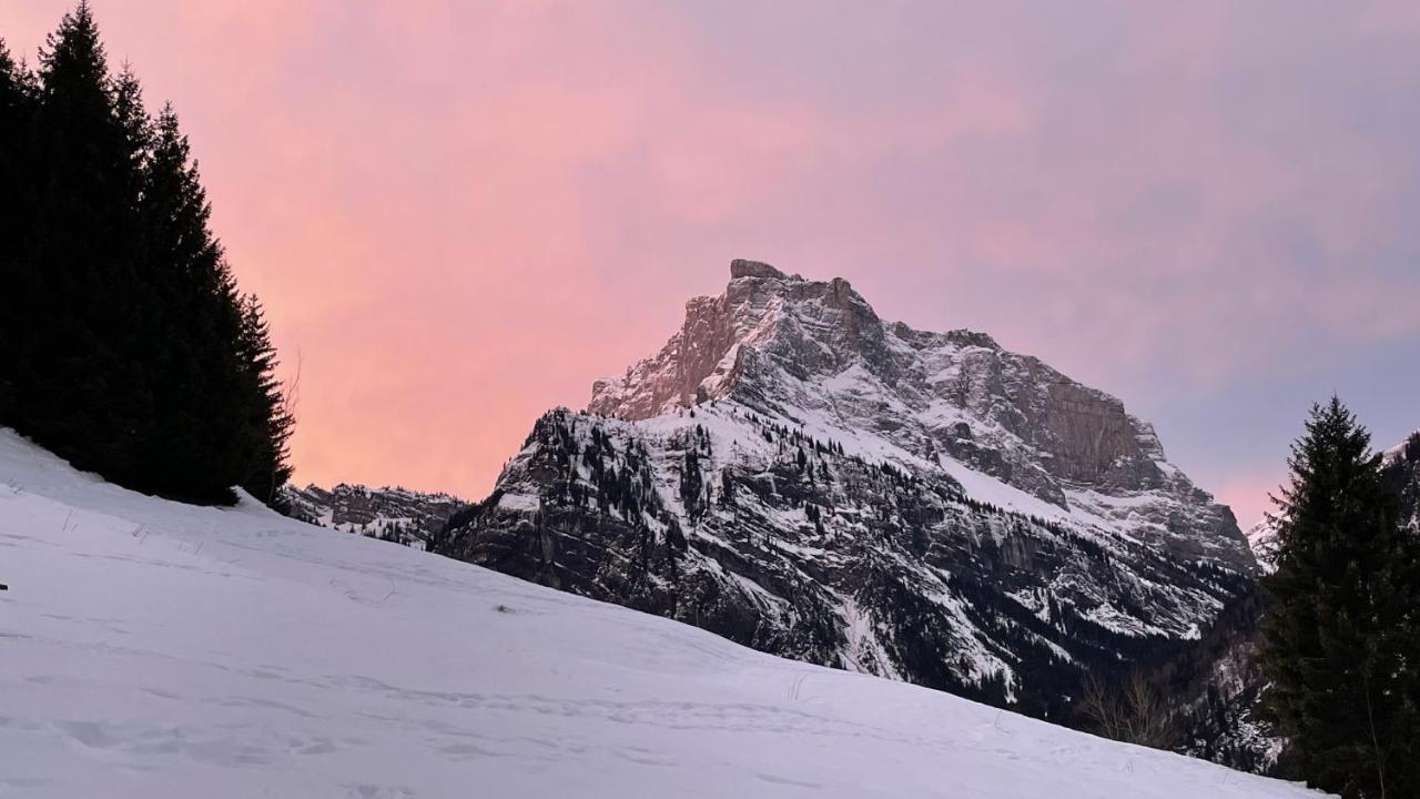 Chalet Chalet*** Au Pied D'une Prairie Face A La Montagne Sixt-Fer-a-Cheval