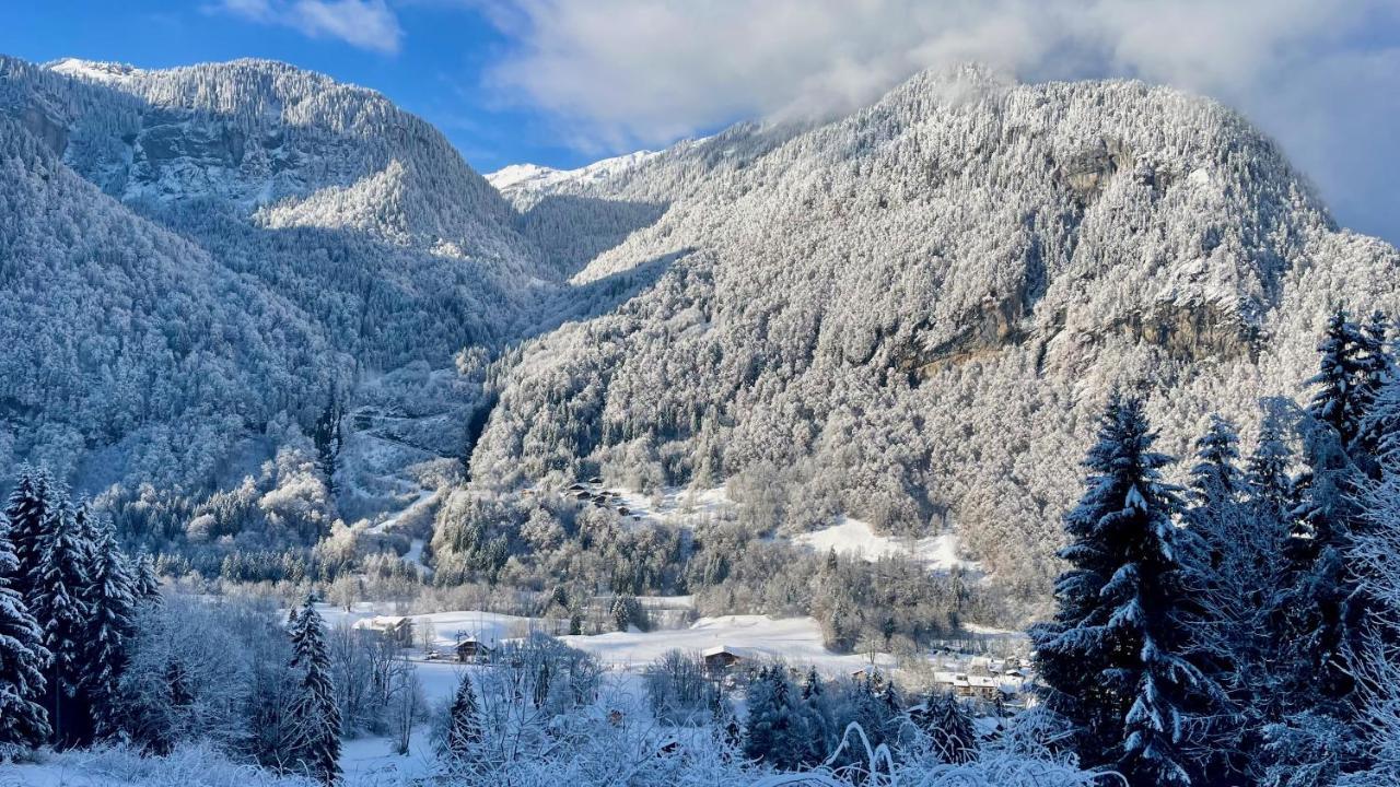 Chalet*** Au Pied D'une Prairie Face A La Montagne *
